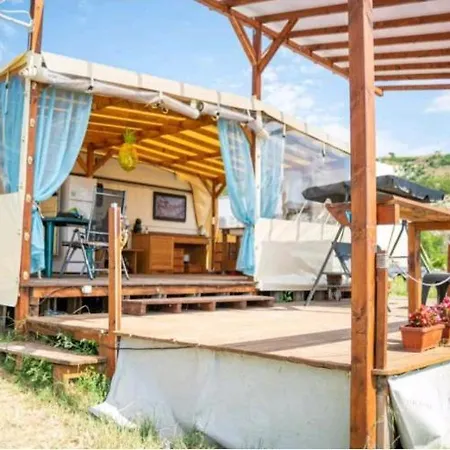 Pirates Queen Caravan * Topola